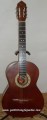 Guitarra de Paracho modelo GTE 9